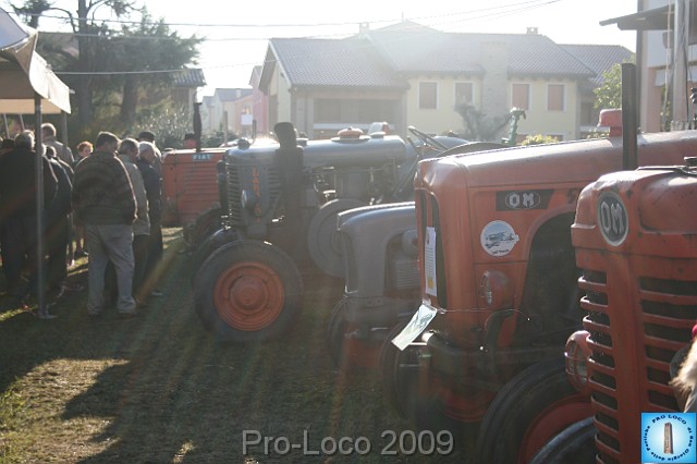 In prà della Antica Fiera di Arsego (22).JPG